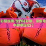 世界杯彩票说明-世界杯彩票，探索足球盛宴中的幸运之门