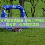 足球世界杯彩票的玩法-足球世界杯彩票的乐趣探索，揭秘赢家攻略