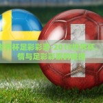 2018世界杯足彩彩票-2018世界杯，足球激情与足彩彩票的碰撞