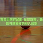 世界杯彩票投注10元-