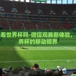 微信世界杯怎么买-微信世界杯足球彩票购买指南，轻松入门，理性投注