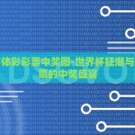 2010世界杯彩票奖金-回顾2010世界杯彩票，那些激动人心的瞬间与幸运之笔