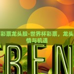世界杯彩票龙头股-世界杯彩票，龙头股的激情与机遇