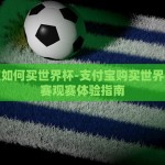 支付宝如何买世界杯-支付宝购买世界杯足球赛观赛体验指南