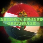 在哪里买世界杯滚球-世界杯滚球赌注，理性与慎重