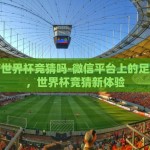 世界杯彩票淘宝怎么买-世界杯彩票淘宝购买指南，轻松玩转全球盛事