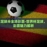 世界杯彩票能挣多少钱-世界杯彩票，理性分析与风险共舞的梦想之旅