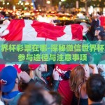 微信世界杯彩票在哪-探秘微信世界杯彩票的参与途径与注意事项