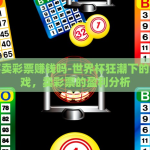 世界杯亚洲预选赛彩票-揭秘世界杯亚洲预选赛彩票，一场梦想与机遇的竞技场