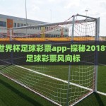 微信网上买世界杯彩票-微信网上买世界杯彩票，便捷与争议并存的双刃剑