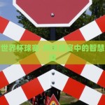 怎样赌世界杯球赛-网球盛宴中的智慧赌注之道