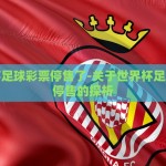 怎么赌世界杯盘口-掌握技巧，理性面对世界杯盘口