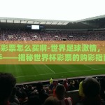 世界杯彩票买法-世界杯彩票，理性而有趣的投注策略