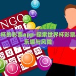 买世界杯的彩票app-探索世界杯彩票App的乐趣与风险