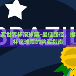 在哪里买世界杯滚球票-最佳路径，揭秘世界杯滚球票的购买指南