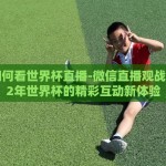 微信如何看世界杯直播-微信直播观战，2022年世界杯的精彩互动新体验