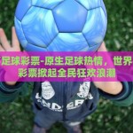 世界杯足球彩票-原生足球热情，世界杯足球彩票掀起全民狂欢浪潮