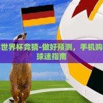 手机买世界杯竞猜-做好预测，手机购彩的足球迷指南