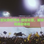 微信彩票玩转世界杯-微信彩票，解锁世界杯观赛新体验