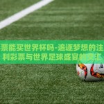 福利彩票能买世界杯吗-追逐梦想的注脚，福利彩票与世界足球盛宴的交汇