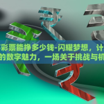世界杯彩票能挣多少钱-闪耀梦想，计算世界杯彩票的数字魅力，一场关于挑战与机遇的探讨