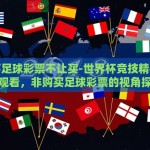世界杯足球彩票不让买-世界杯竞技精神与理性观看，非购买足球彩票的视角探讨