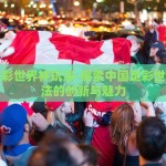 世界杯大数据买彩票-大数据赋能，世界杯期间彩票投注的智慧之选