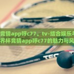 世界杯猜冠军的彩票-世界杯竞猜激情，深入解析猜冠军彩票的魅力与策略