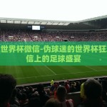 伪球迷世界杯微信-伪球迷的世界杯狂欢，微信上的足球盛宴