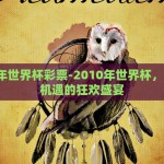 2010年世界杯彩票-2010年世界杯，梦想与机遇的狂欢盛宴
