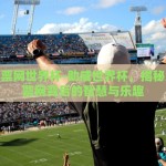 足球彩票网世界杯-助威世界杯，揭秘足球彩票网背后的智慧与乐趣