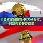 喝酒买世界杯足球彩票-世界杯激情，酒与足球彩票的奇妙碰撞