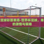 世界杯足球彩票单场-世界杯足球，单场彩票的激情与策略