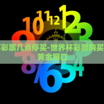 世界杯彩票被禁止-慎思世界杯彩票，自由与风险之间的平衡