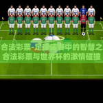 世界杯合法彩票-足球盛宴中的智慧之选——合法彩票与世界杯的激情碰撞