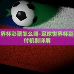 世界杯彩票概念基金-世界杯彩票，从群众狂欢到概念基金的转变路途