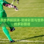 足球彩票世界杯玩法-足球彩票与世界杯玩法的多彩图谱