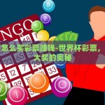 世界杯怎么买彩票赚钱-世界杯彩票，智取中大奖的奥秘