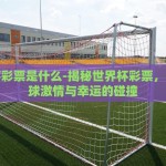世界杯推荐彩票-世界杯彩票购买秘笈，理性投注的智慧与乐趣