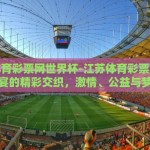 江苏体育彩票网世界杯-江苏体育彩票网与世界杯盛宴的精彩交织，激情、公益与梦想的碰撞
