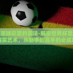 世界杯足球彩票的买法-解密世界杯足球彩票的购买艺术，从新手到高手的必读攻略