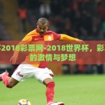 世界杯彩票上税-世界杯彩票，激情与上税的交响曲