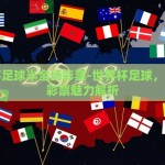 世界杯足球半全场彩票-世界杯足球，半全场彩票魅力解析