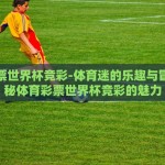 体育彩票世界杯竞彩-体育迷的乐趣与冒险，揭秘体育彩票世界杯竞彩的魅力