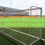 世界杯彩票无法下单-世界足球盛宴背后的意外挑战，世界杯彩票无法下单的困惑与应对