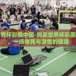 购买世界杯彩票中国-购买世界杯彩票在中国，一场体育与激情的碰撞