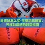 世界杯彩票站怎么买-享受足球盛宴，揭秘世界杯彩票站的购买指南