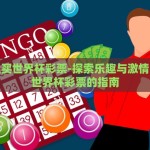 在哪里买世界杯彩票-探索乐趣与激情，选购世界杯彩票的指南