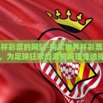 支付宝世界杯哪里买-为什么选择支付宝世界杯购票——一场便捷与激情的盛宴
