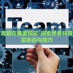 支付宝买世界杯彩票-探析支付宝购彩世界杯彩票的便利性与市场影响